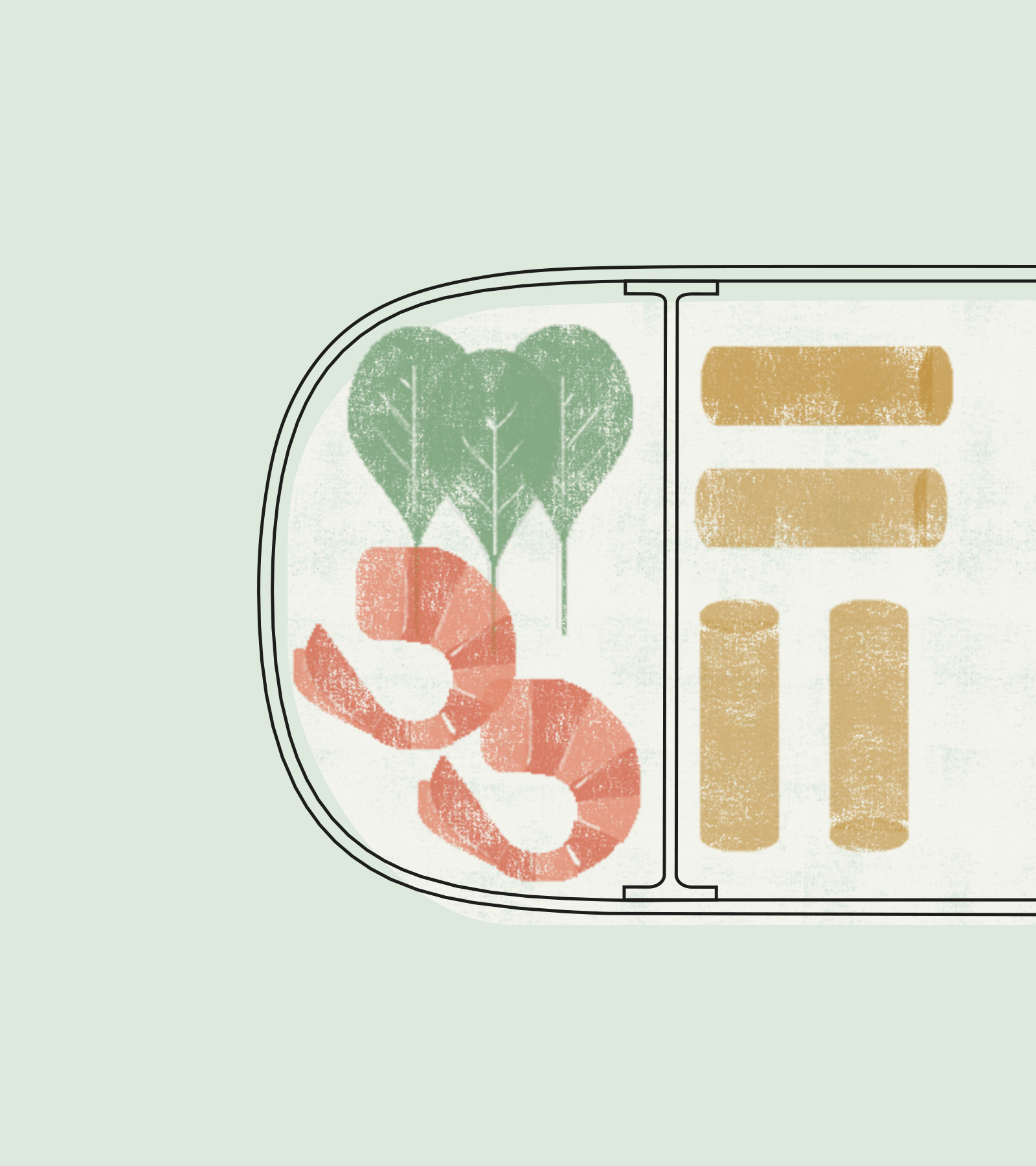 有機(jī)環(huán)保的包裝設(shè)計(jì)